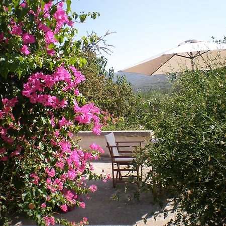Villa Ouranos Kíssamos Esterno foto